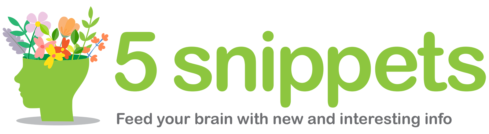 5-snippets-logo